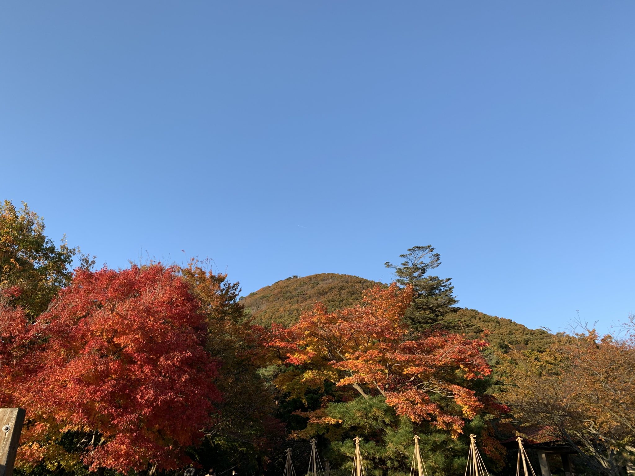 国上山で素敵な景色に出会いました！ 国内・海外旅行予約 、旅館・ホテル、個人旅行･団体旅行は新潟トラベル